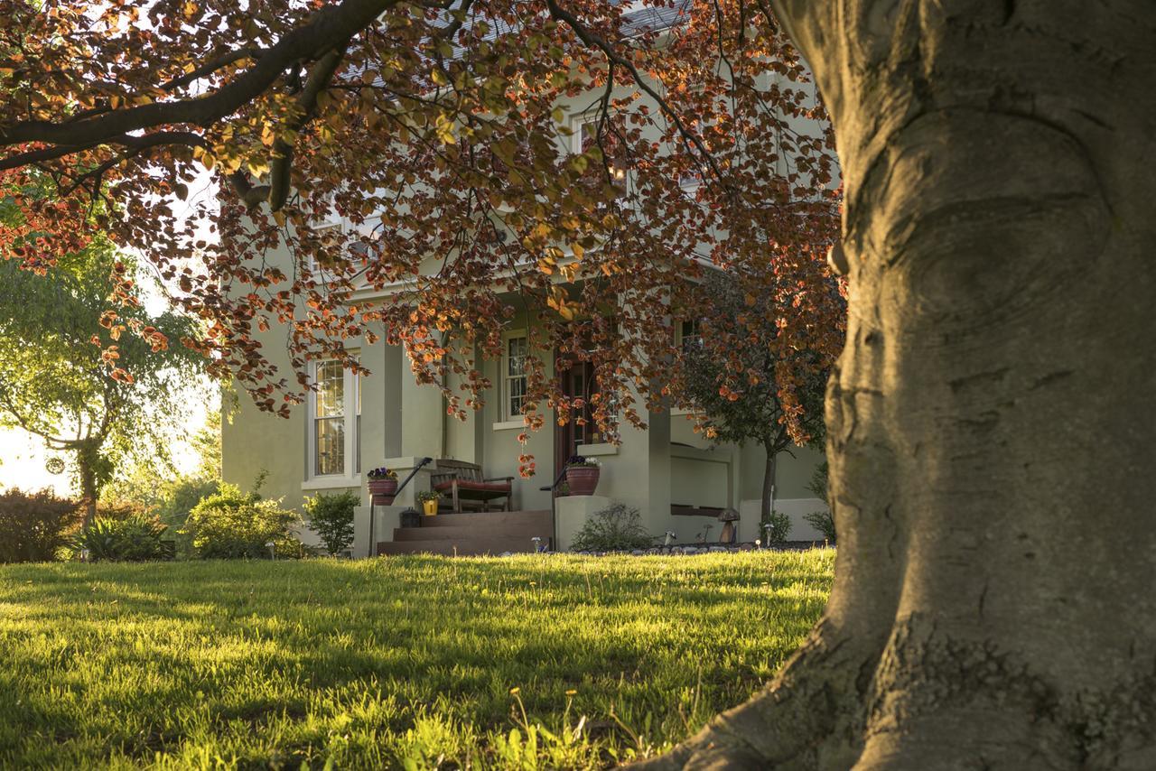 Yale Manor B&B & Yurt Glamping Exterior foto